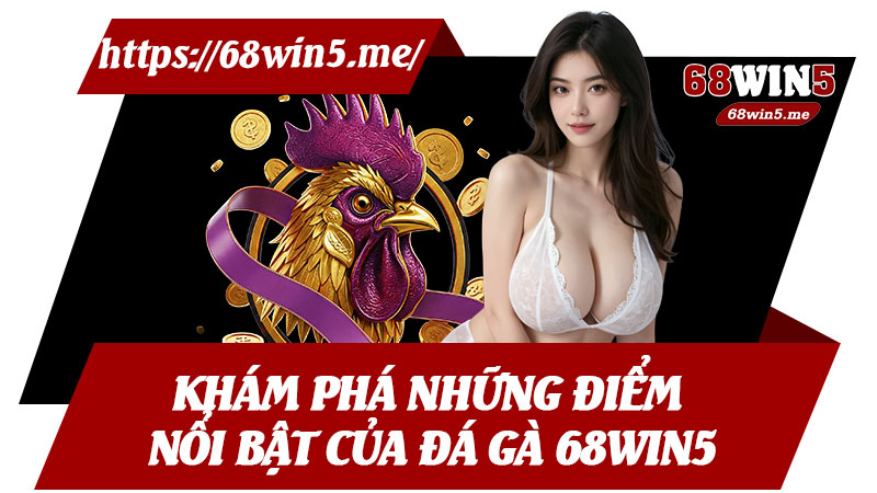 Khám Phá Những Điểm Nổi Bật Của Đá Gà 68win5